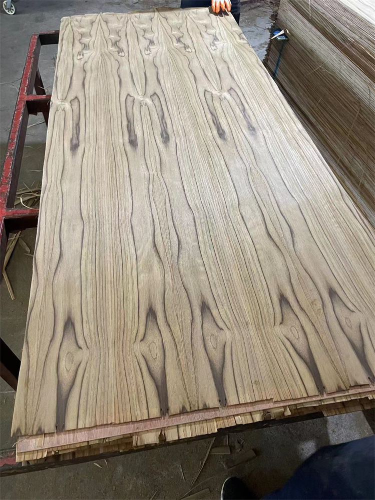 SOUTH AMERICA TEAK CC