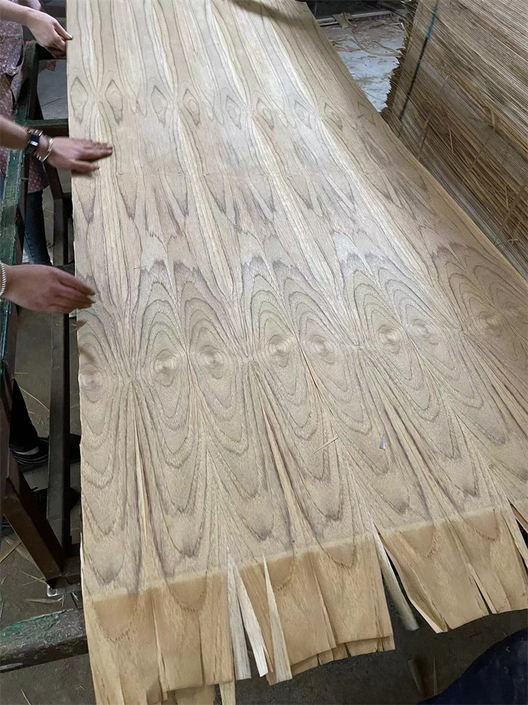 SOUTH AMERICA TEAK CC