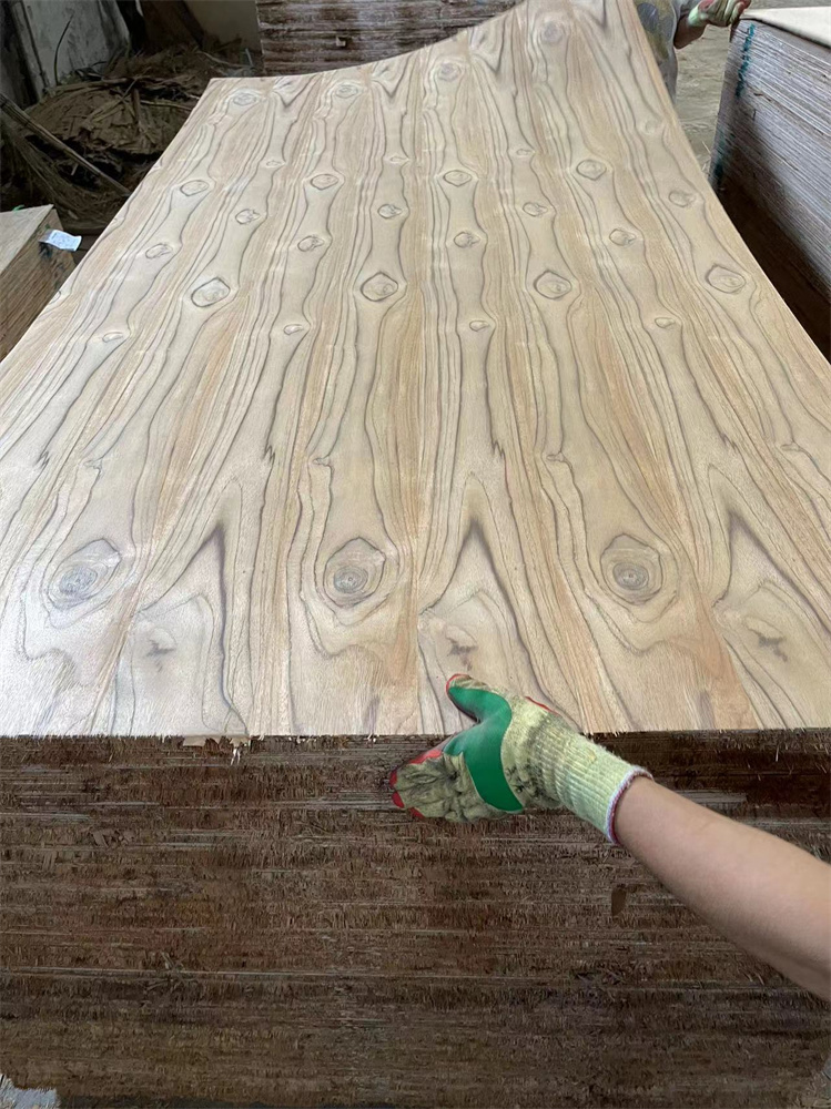 SOUTH AMERICA TEAK CC