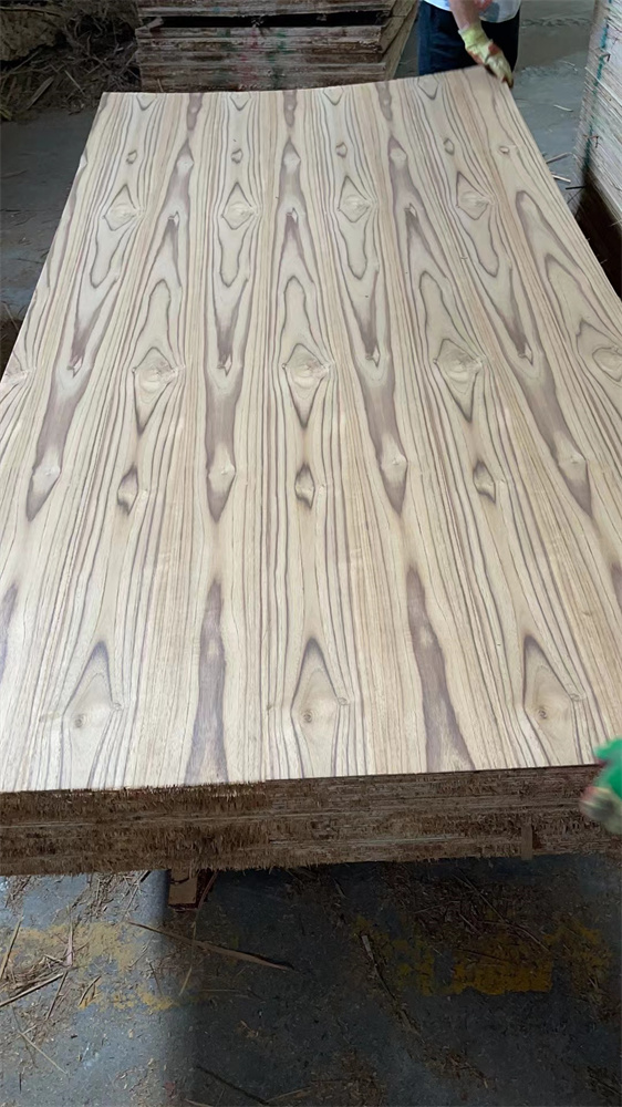 SOUTH AMERICA TEAK CC