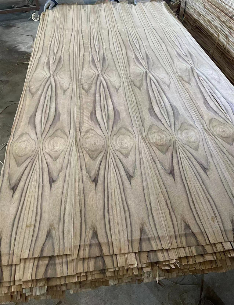 SOUTH AMERICA TEAK CC