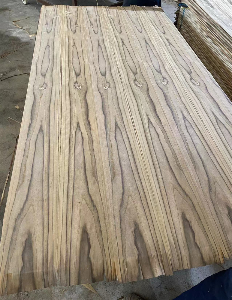 SOUTH AMERICA TEAK CC