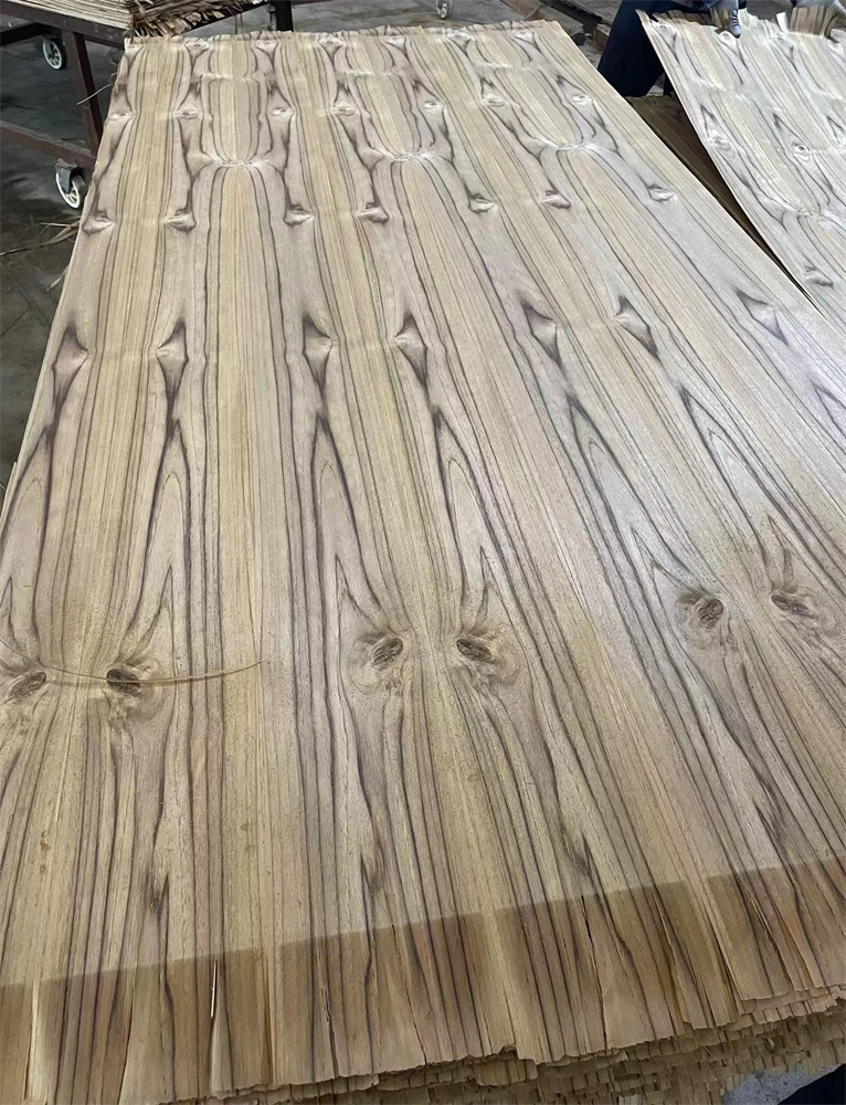SOUTH AMERICA TEAK CC